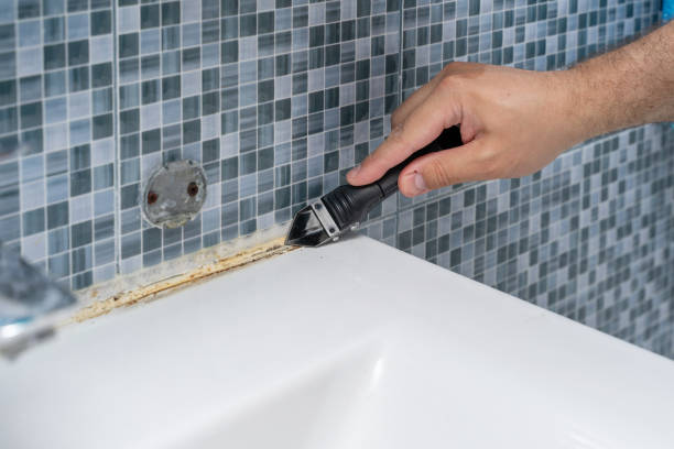 Best Kitchen Mold Remediation in Shakopee, MN